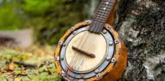 Muzykalia pana Pawła